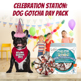 JT PET Dog Gotcha Day Party Pack with Bandana, Star Spangled Adjustable Elastic Party Hat with Tassels and Feathery Trim, Vegan Pie Included, Pink Girl, Small