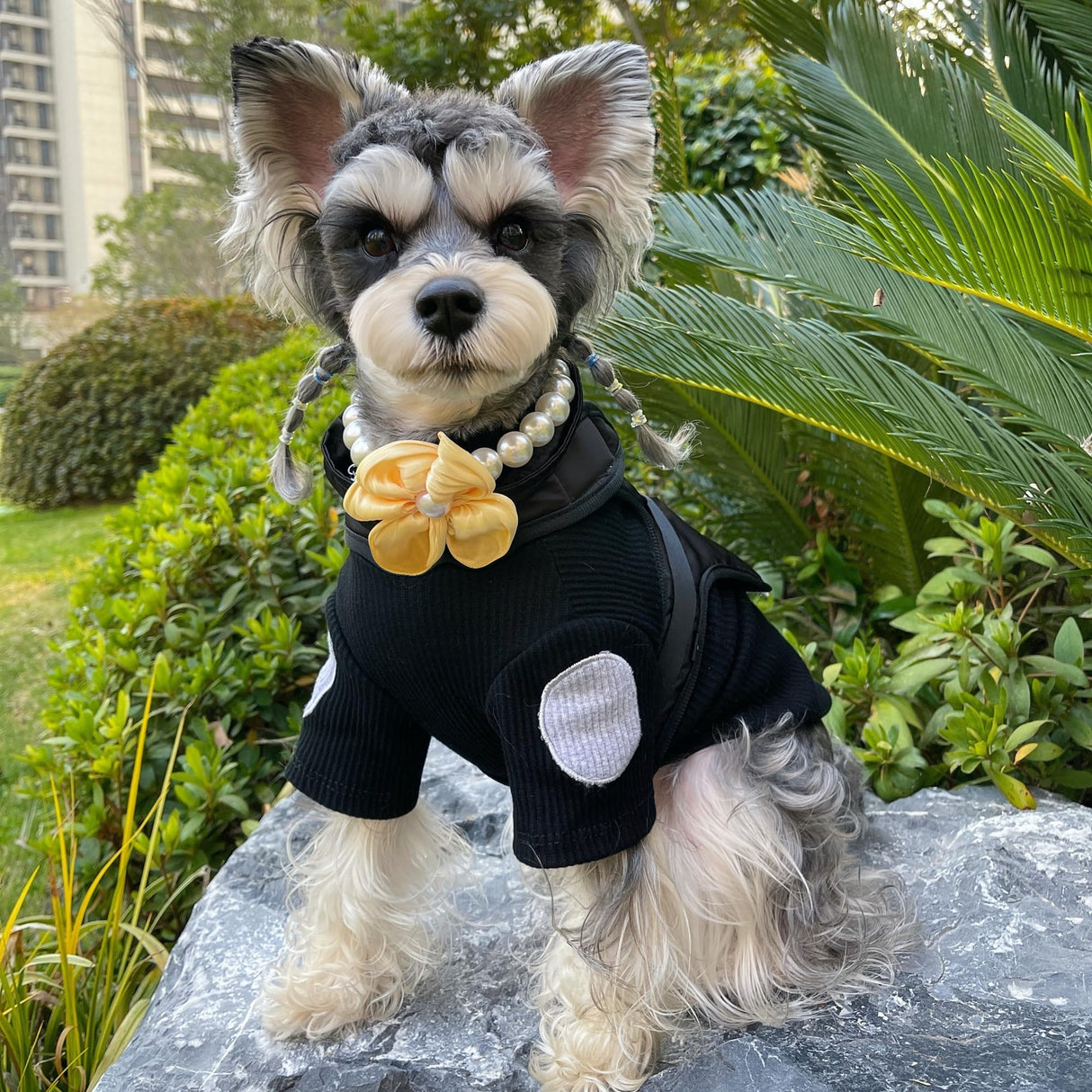 Elegant Pearl Flower Dog Necklace – Adjustable & Stylish for Weddings, Birthdays, and Parties (Yellow, L（18.5-20.5 inches）)