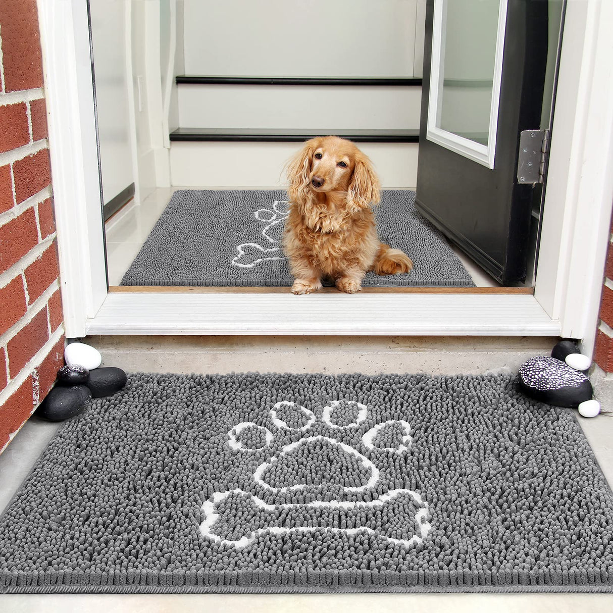 AROGAN Indoor Door Mat Entryway Rug Traps Mud and Water, Chenille Doormat for Muddy Shoes and Dog Paws, Machine Washable Doormat, Front Door Mat, Busy Area Dog Rugs for Floors, Entrance, 20x32 Grey