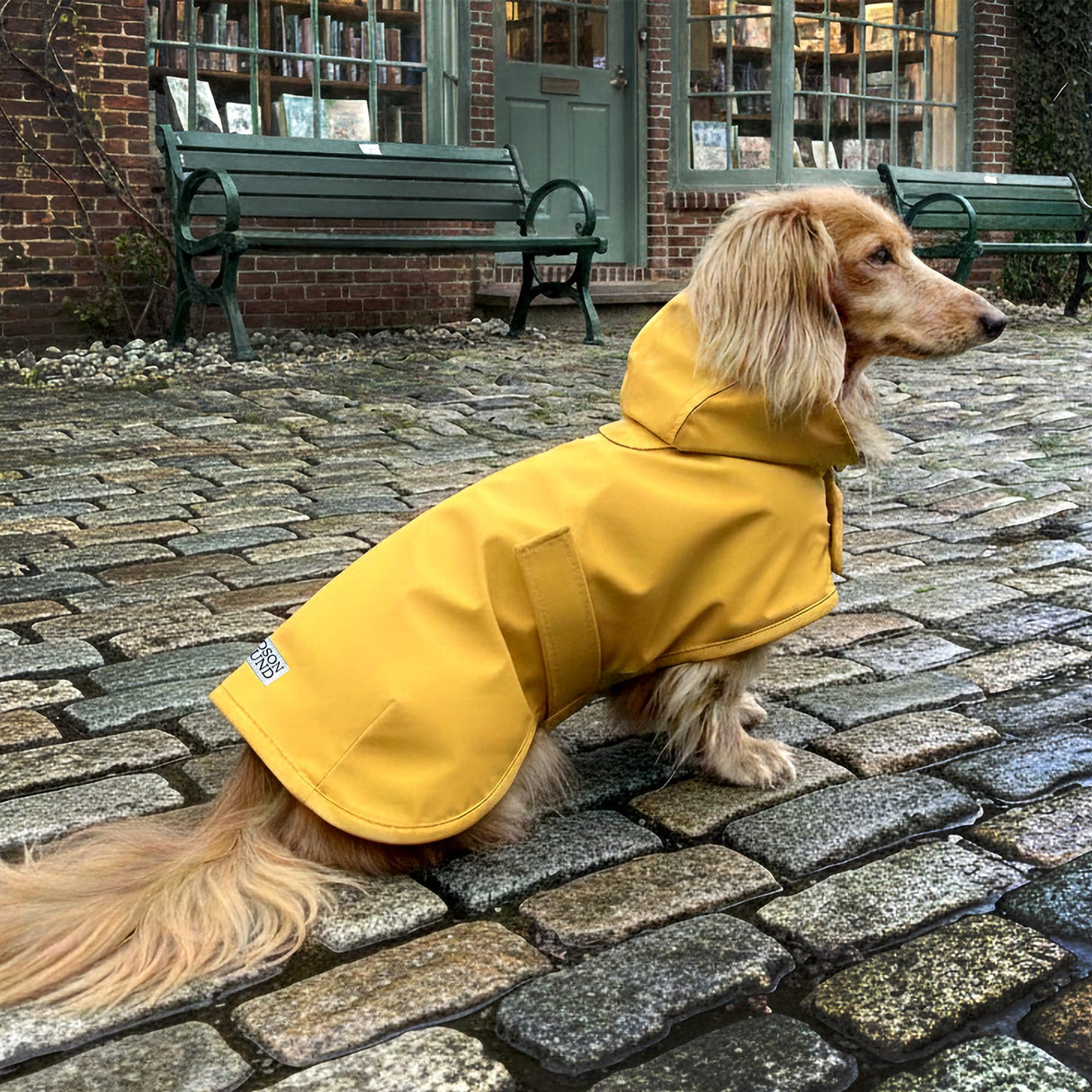 Hudson Hound, Dachshund Raincoat, Sausage Dog Rain Jacket, Long Dog Coat, Weiner Dog Raincoat, Doxie Rain Jacket (Medium)