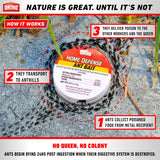 Ant Killer by Ortho Home Defense 20Pk|Metal Ant Traps Indoor & Ant Killer Outdoor | Ant Killer Indoor Safe for Pets and Kids |Effective Ant Trap & Ant Bait Indoor Ant Killer | Ants Killer for House
