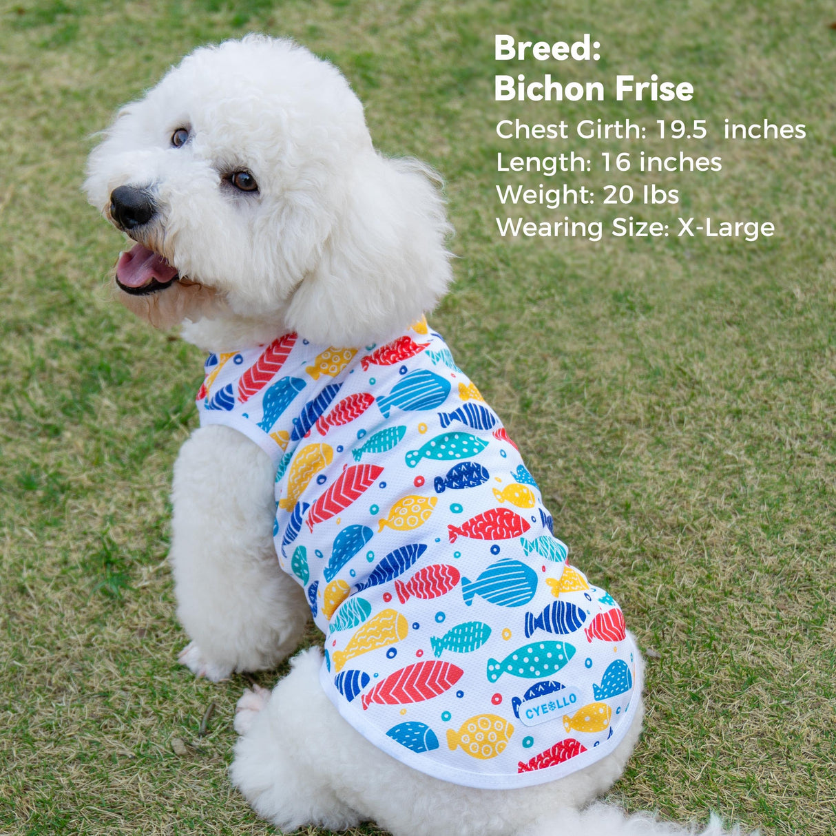 cyeollo 2pack Dog Cooling Shirt, Breathable Sleeveless Summer Clothes for Dogs, Intant Cool T Shirts for Small Dogs, Blue Fish S