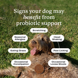 PetLab Co. Probiotics for Dogs - Support Gut Health, Occasional Diarrhea, Digestive Health, Paw Licking & Seasonal Allergies, Pork Flavor, 30 Soft Chews, Formulated for Small Dogs, Packaging May Vary