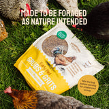 Hatortempt Chicken Feed Supplement - Non-GMO - Protein-Rich Mealworms, Black Soldier Fly Larvae & Oyster Shell - Calcium Grit Treats for Chickens - Egg Layer Feed Supplement (10 lb)