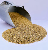 Desert Valley Canary Seed, All Natural, Non-GMO Premium Wild Bird Food for Canaries, Finch, Song Birds, Dove and More (5 Pounds)