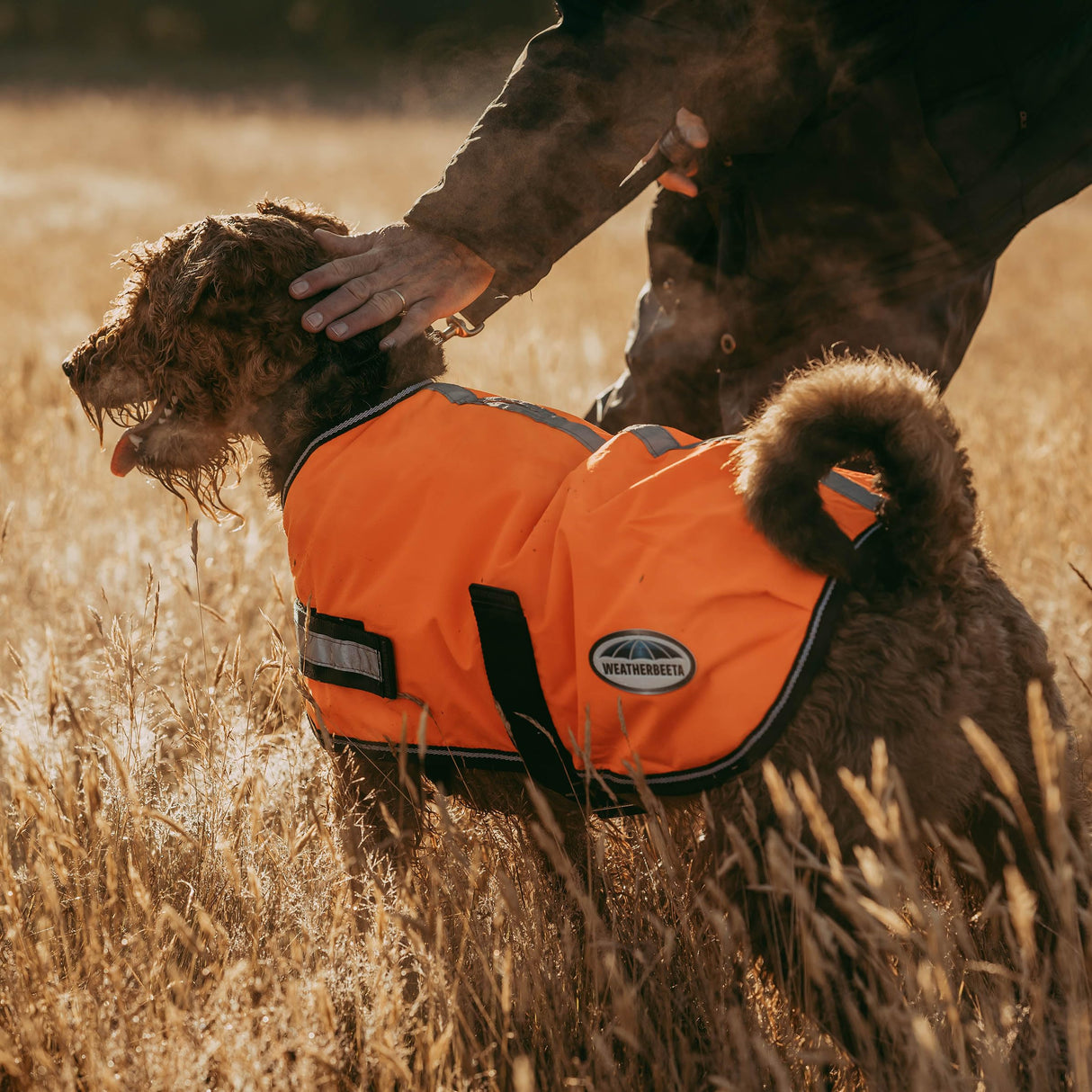 WeatherBeeta ComFiTec Reflective Parka 300D Dog Coat, Orange, 28"