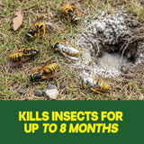 Raid Outdoor Wasp Ground Nest Killer, Dust Insecticide for Outside Household Use on Wasps, Fast-Working, Easy-to-Use and Odorless, 24 oz
