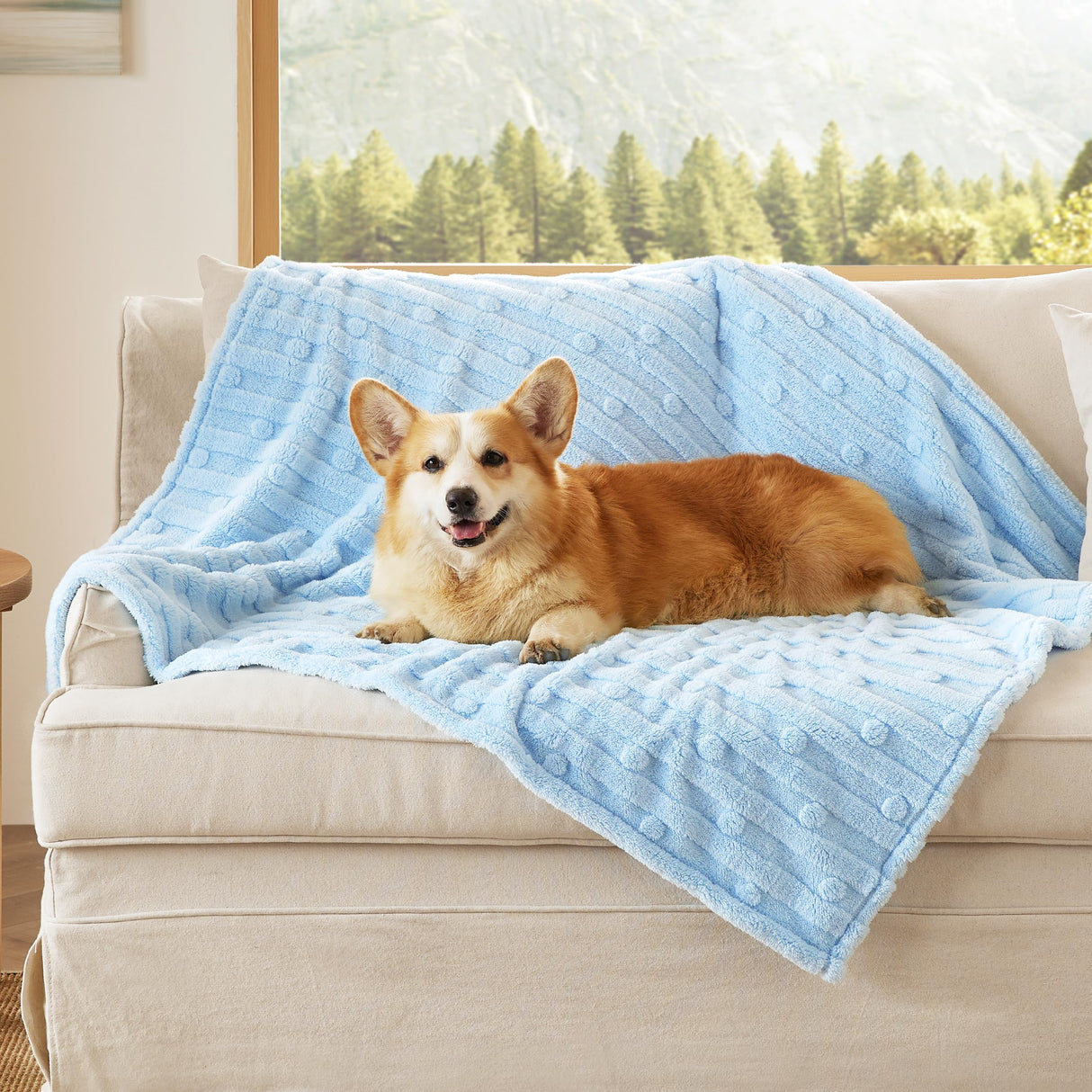 Bedsure Dog Blanket for Large Dogs Washable - Fluffy Fuzzy Puppy Cat Blanket with Premium 300GSM Coral Fleece Soft for Pet Kitten Doggy, Blue, 40x50IN