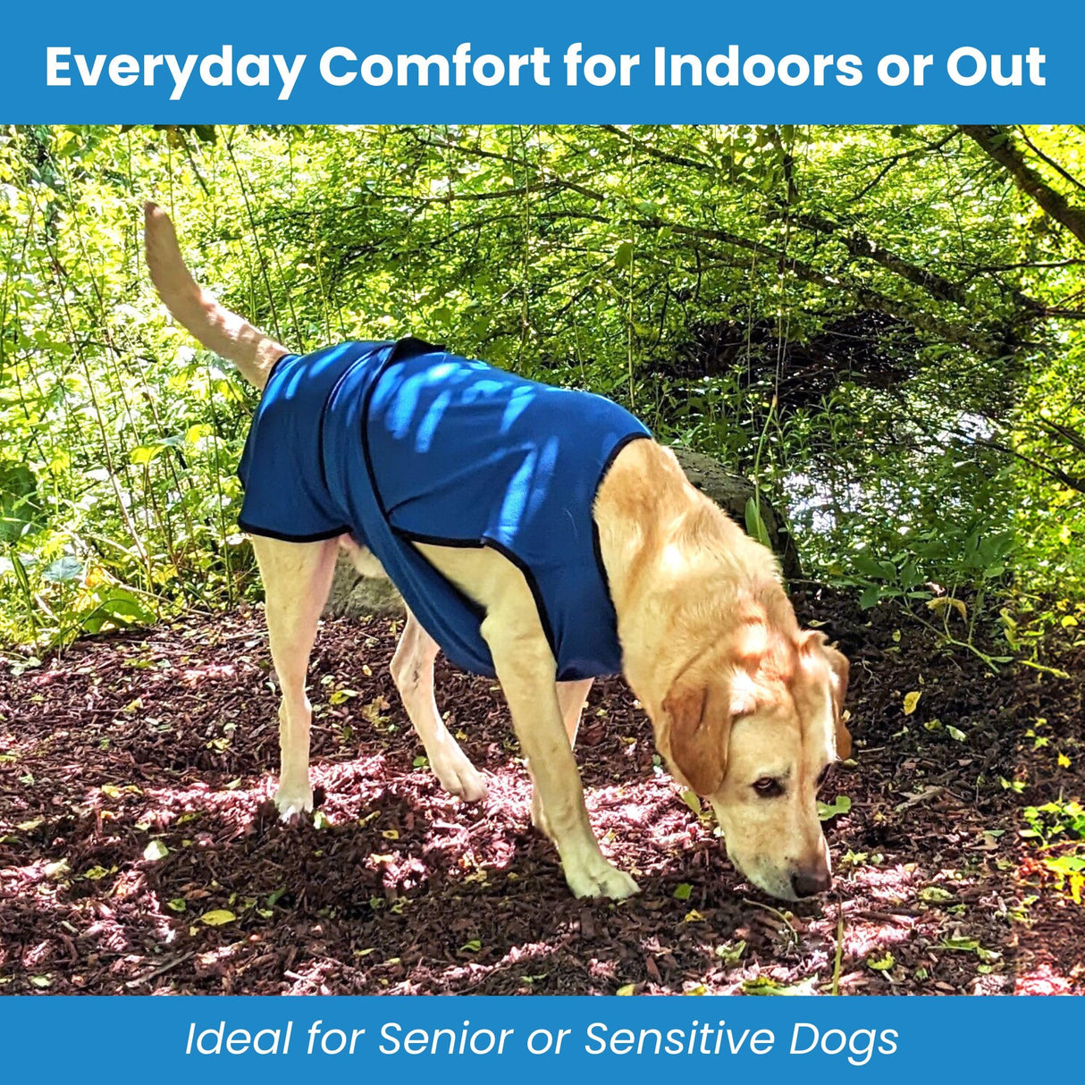 DOGZSTUFF Dog Cooling Vest – Lightweight Evaporative Shirt with UV Protection for Small, Medium, and Large Dogs – Breathable Soft Fabric for Hot Weather (S, Dark Blue)