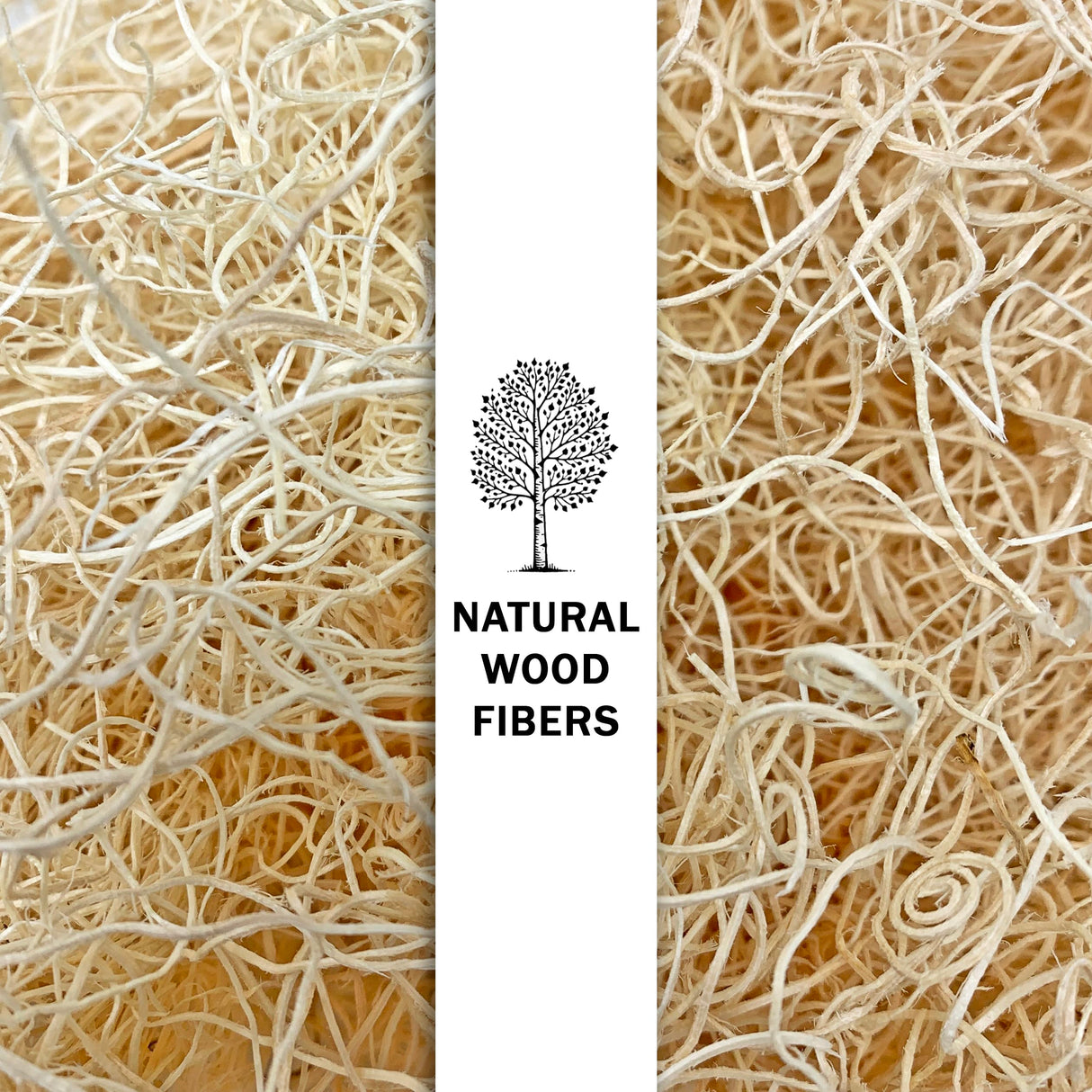 NestNova™ Aspen Excelsior – 2 lb Box of All-Natural USA-Grown Aspen Wood Fiber | Eco-Friendly Nesting Material for Chicken Coops, Small Pet Bedding, Crafts & Gift Baskets | Biodegradable, Hand-Packed