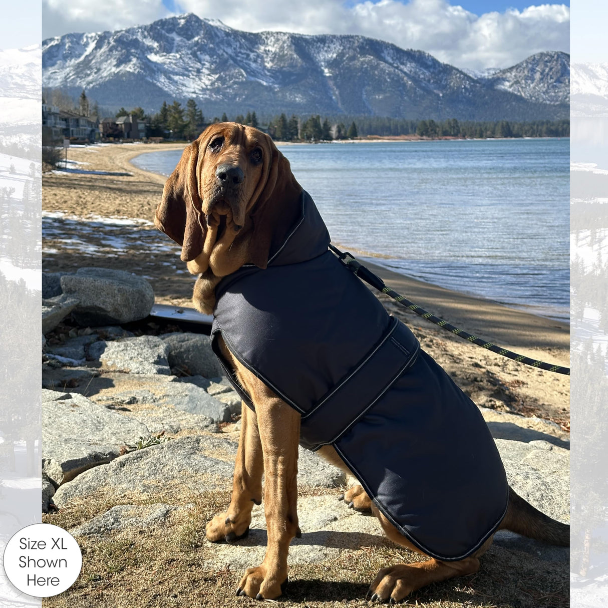 PetRageous 7303CGS Juneau Waterproof Cold Weather Dog Coat with Full Chest Coverage Leash Opening 11-Inch Long Heavyweight Jacket for Small Breeds and Puppies, Charcoal Grey