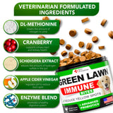 Vet Promise Grass Burn Spot Chews - Dog Urine Neutralizer for Lawn - 120 Grass Green Treats, Rocks - Pee Grass Spot Saver Caused by Dog Urine - Probiotics - Digestive Enzymes - Made in USA