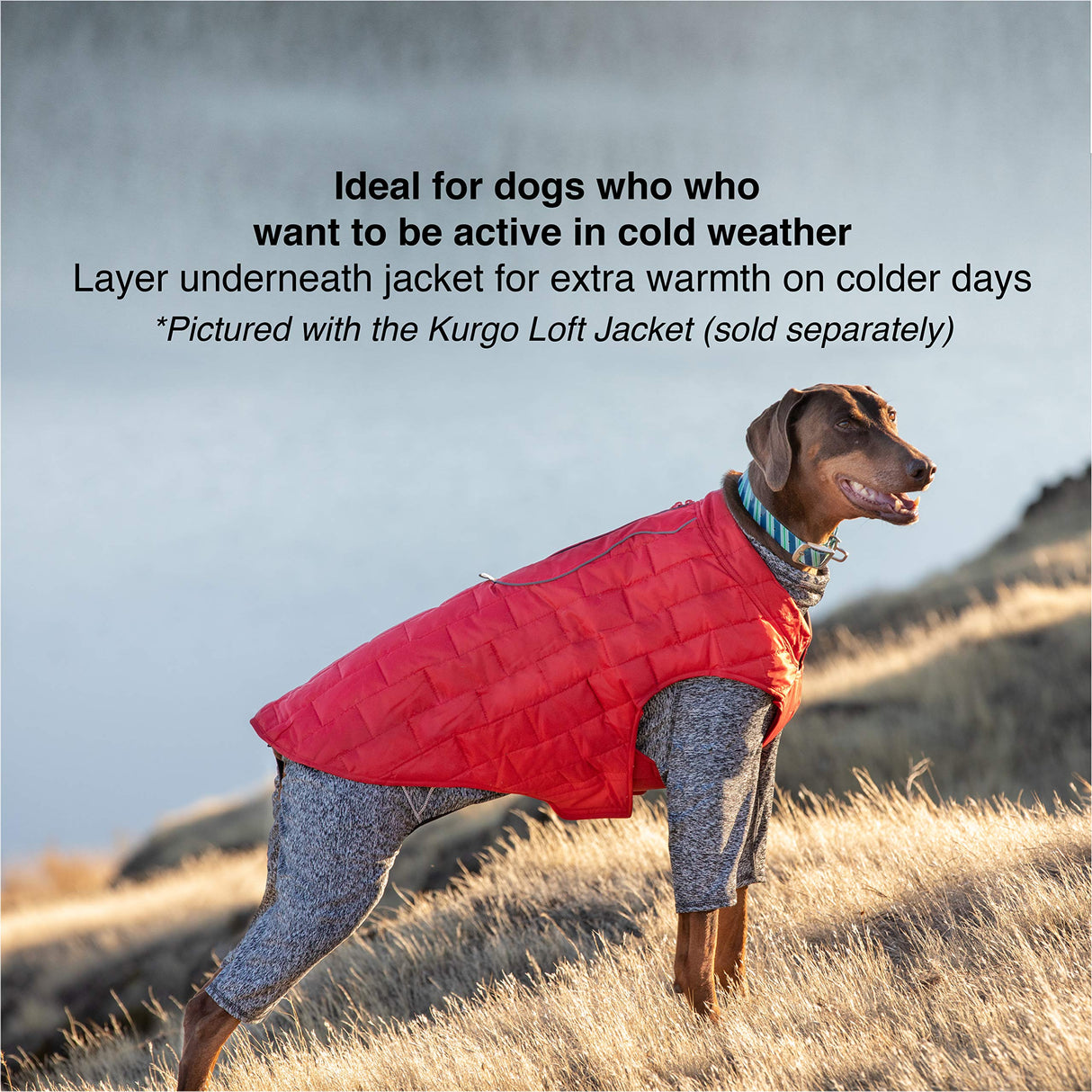 Kurgo Stowe Base Layer - Comfortable, Cold-Weather Pet Wear - Breathable Snug Fit - Dual-Zipper Dog Onesie - Reflective Side Seams - Dog Pajamas - Machine Washable - Small - Black/Grey