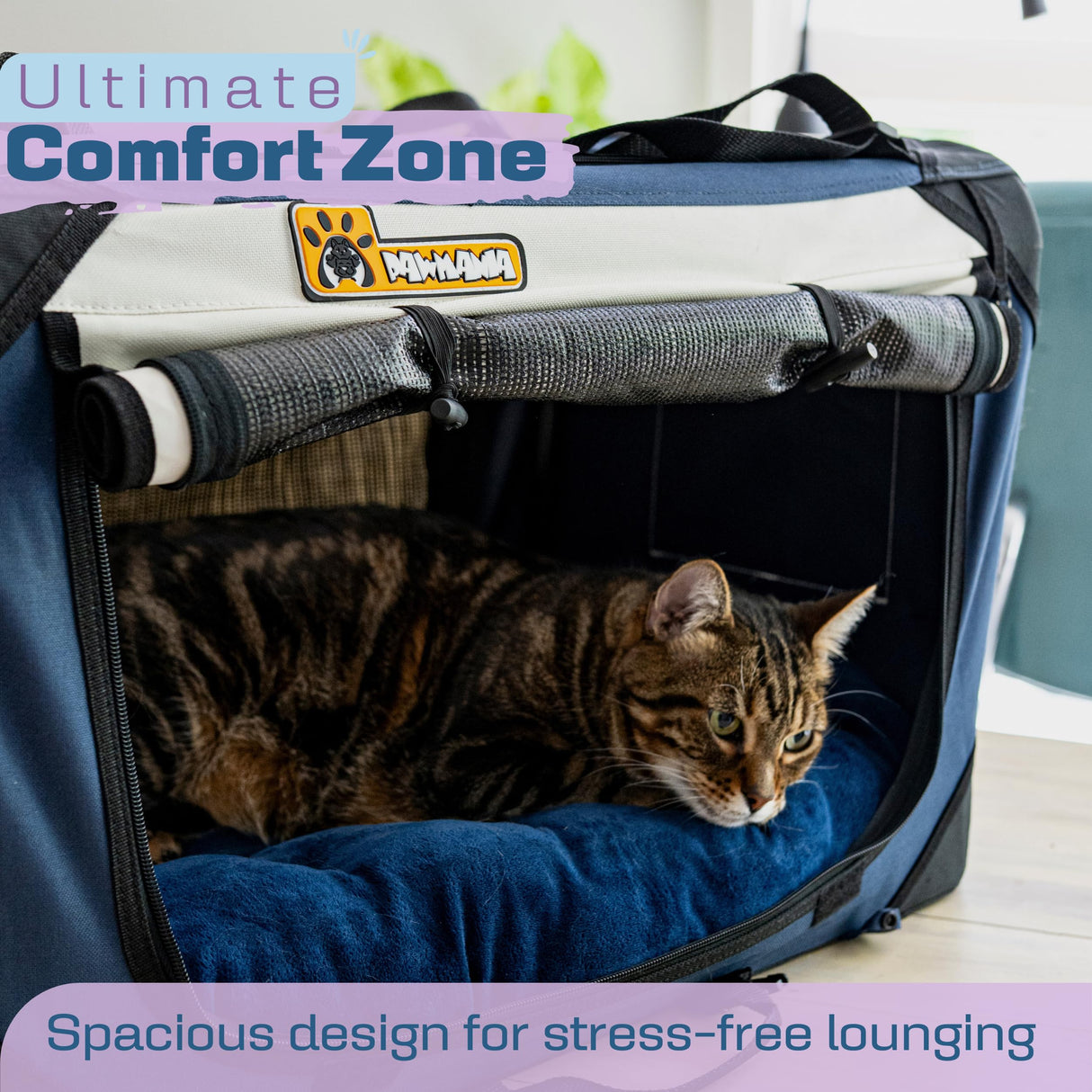 Cat & Dog Pet Carrier, Soft-Sided, Large 24"x16"x16", Supports Up to 45 lbs, Privacy Windows, Removable Plush Bed, Locking Zippers, Foldable Travel Crate