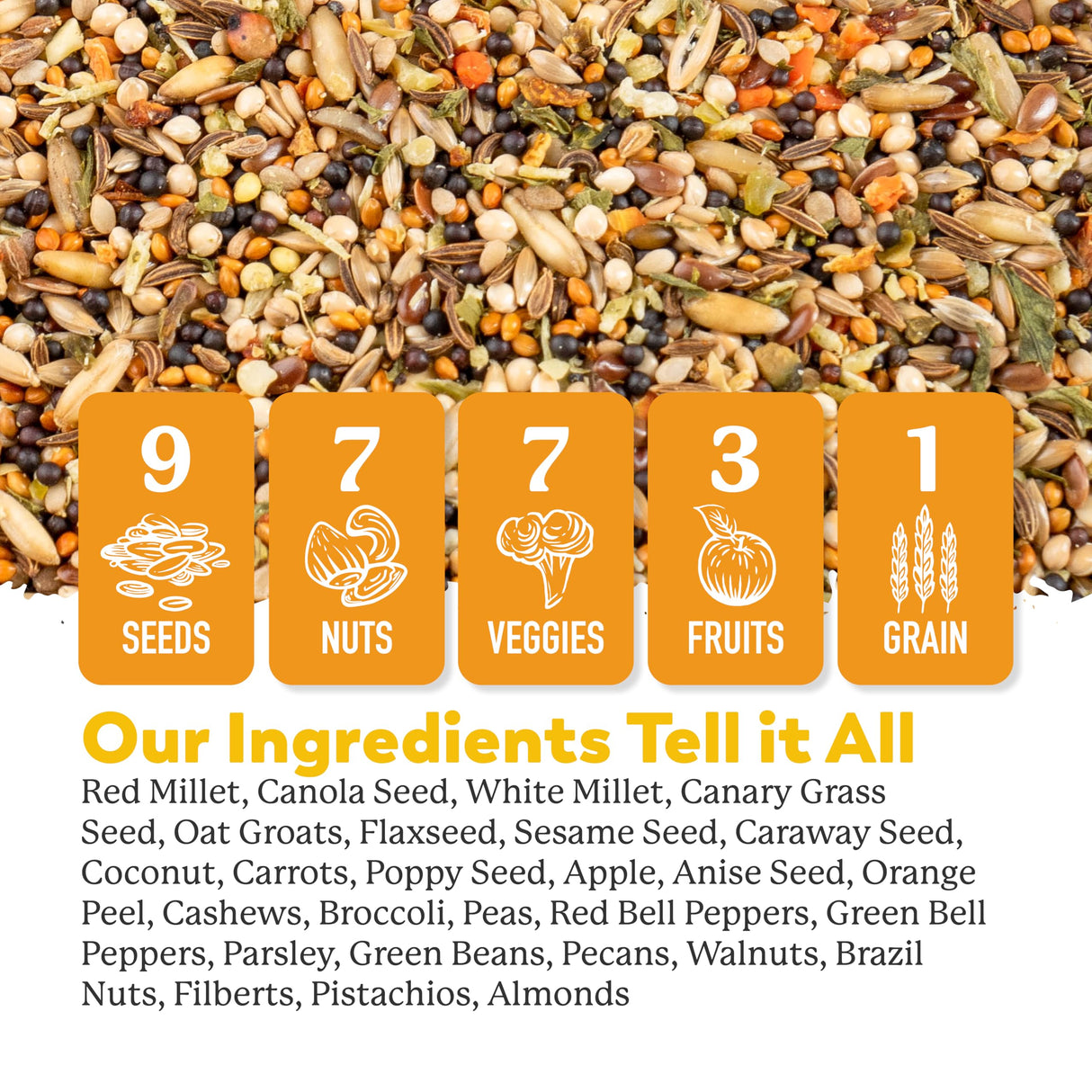 Dr. Harvey's Incredible Canary Blend, Natural Food for Canaries (4 pounds)