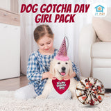 JT PET Dog Gotcha Day Party Pack with Bandana, Star Spangled Adjustable Elastic Party Hat with Tassels and Feathery Trim, Vegan Pie Included, Pink Girl, Small