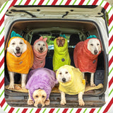 DERPYCHAPPY Premium Dog Towel Robe & Dog Bathrobe for Drying Dogs Made in Korea | Super Absorbent Quick & Adjustable Microfiber Bath Towel for Cats & Puppy Robes After Bath | Soft Warm Coat (Pink,XL)