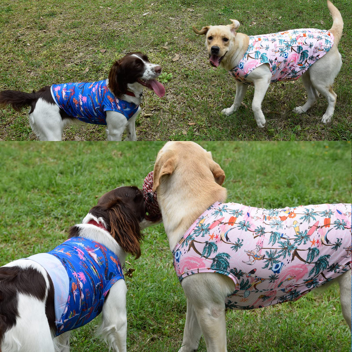 Uadonile Dog Cooling Shirts, Medium Dog ShirtsDog Clothes for Boy Girl Dogs, Dogs Cooling T-Shirts for Pug, Pitbulls, Dog Summer Shirts Hawaiian, M, 2 Pcs