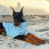 Turtleneck Dog Shirt Cute Doggie Embroidery Super Soft Dog Sweatshirt Stretchy Striped Puppy Pullover for Cats Small Medium Large Dogs (6X-Large, Blue Striped)