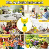 Fruit Fly Trap with Sticker, Effective Fly Catcher Gnat Traps for House Indoor, Fruit Fly Killer Comes with Attractant and Double-Sided Sticker, Non-Toxic Reusable Fly Trap for Home, Kitchen - 4 Pack