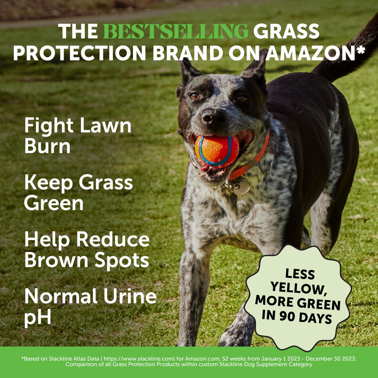 Grass Green Dog Chews - Urine Neutralizer for Lawn, Dog Pee Grass Helps Yard Stay Green Addressing Burn Spots with Probiotics & Enzymes (Turkey)