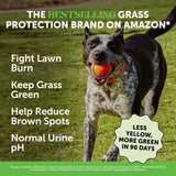 Grass Green Dog Chews - Urine Neutralizer for Lawn, Dog Pee Grass Helps Yard Stay Green Addressing Burn Spots with Probiotics & Enzymes (Turkey)