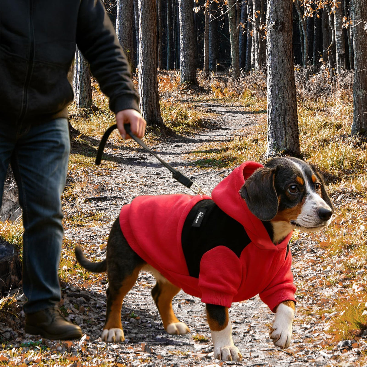 Nibnozy Dog Hoodie with Fleece Lining - Premium Winter Warm Dog Sweater for Small, Medium Dogs, Puppy - Dogs Sweatshirt Contrast Color Design (Red&Black, L)