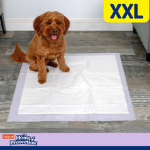 Load image into Gallery viewer, Hartz Home Protection Lavender Scented Dog Pads, XXL 40 count, Super Absorbent &amp; Won't Leak, Odor Eliminating
