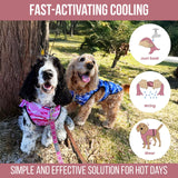 LUCOLOVE Dog Cooling Vest - 2-Layer Cooling with Soft Microfiber Fabric - Lightweight, Adjustable and Comfortable - UV Protection for Small to Large Dogs - Relief in Hot Weather (Green, Small)
