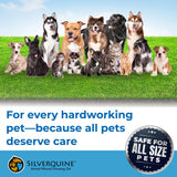 Silverquine Dog Wound Care Gel - Hot Spot Gel Solution for Dogs and Cats - Safe If Licked, Odorless Silver Hydrogel Ointment for Pets Cuts, Burns, Scratches, Sores and Skin Concerns - 1.5 Oz