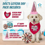 JT PET Dog Gotcha Day Party Pack with Bandana, Star Spangled Adjustable Elastic Party Hat with Tassels and Feathery Trim, Vegan Pie Included, Pink Girl, Small
