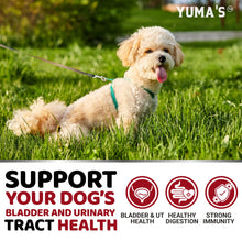 Load image into Gallery viewer, Dog UTI Chews - 170 Treats - Cranberry Supplement for Dogs - Bladder Control - Digestion &amp; Immune Support - Urinary Tract Health - Multivitamin - Vitamins and Supplements - Made in USA
