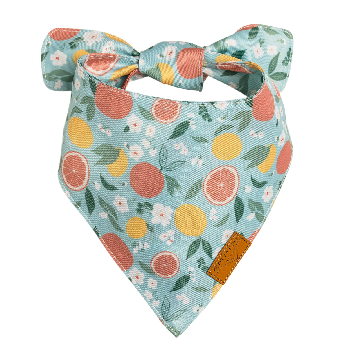 Remy+Roo Spring Dog Bandanas - 4 Pack Taylor Set | Premium Durable Adjustable Polyester Fabric | Patented Shape Girl Dog Bandana, Floral Bandana for Dogs (Large)