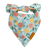 Remy+Roo Spring Dog Bandanas - 4 Pack Taylor Set | Premium Durable Adjustable Polyester Fabric | Patented Shape Girl Dog Bandana, Floral Bandana for Dogs (Large)