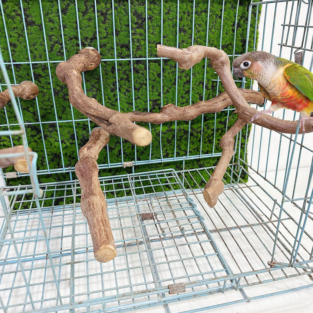 Allazone 5 PCS Natural Grape Stick Perch Swing Chewing Toys for Parrot Cages, Cockatiels, Parakeets, Finches - Bird Standing Stick