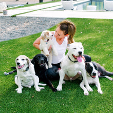 Load image into Gallery viewer, My Pet Peed 32 oz Spray (2 Pack) Pet Stain &amp; Complete Odor Eliminator
