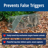 HAVAHART 1079SR Large 1-Door Humane Catch and Release Live Animal Trap Cage - Live Raccoon Trap, for Bobcats, Beavers, Dogs, & More