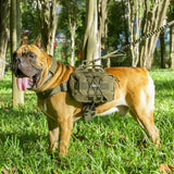 EXCELLENT ELITE SPANKER Dog Pack Dog Saddle Bag Backpack for Camping Hiking Medium & Large Dog with 2 Capacious Side Pockets (M, Grey)