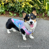 Spark Paws Dog Cooling Vest - SPF 50 UV Sun Protection - Summer Heat Relief Gear for Dogs, Lightweight, Evaporative Cooling - Dog Anxiety Relief Vest During Hot Days - Snowcone, Medium
