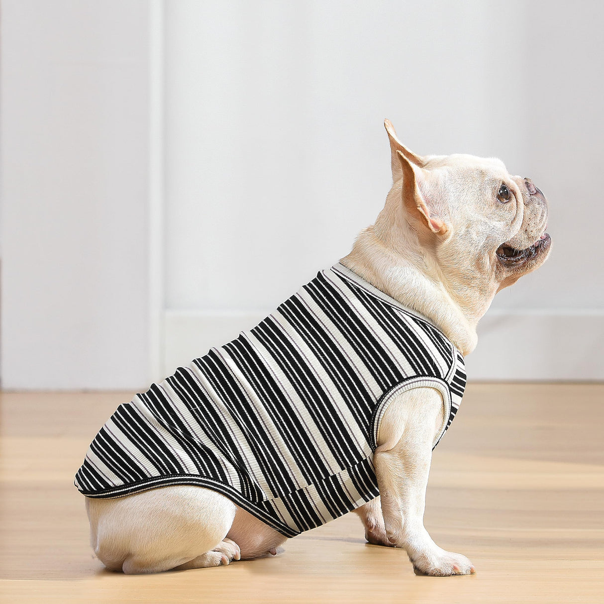 Knuffelen Dog Shirts Vest Cotton Striped T-Shirt, Sleeveless Stretchy Pet Clothes for Small Dogs, 2-Pack Soft Breathable Puppy Tank Top Cat Tee (Large, Black,Gray)