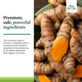 Terry Naturally Curacel Curcumin - Health Supplement for Dogs - Pet Curcumin Dog Supplies - Cellular Health Supplement with Antioxidants - 60 Softgels