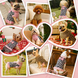 YUDODO Small Dog Sweater with Bowtie Turtleneck Leopard Knitted Pet Girl Dog Winter Clothes Warm Sweater for Yorkies Chihuahua with Leash Hole (S, Pink Leopard)