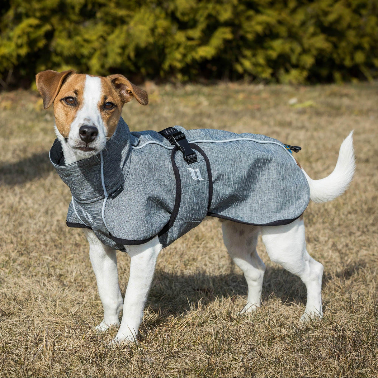 Back on Track Bark Therapeutic High Tail Set Dog Coat with Reflective Details for Safety - Ultimate Comfort & Protection for Active Dogs, Grey, 45cm (18") - S3