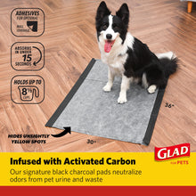 Load image into Gallery viewer, Glad for Pets Day to Night Activated Carbon Puppy Training Pads for Dogs with Wall Protection and Adhesive - Super Absorbent and Leak Proof Disposable Dog Training Pads, 30" x 36", 24 Count
