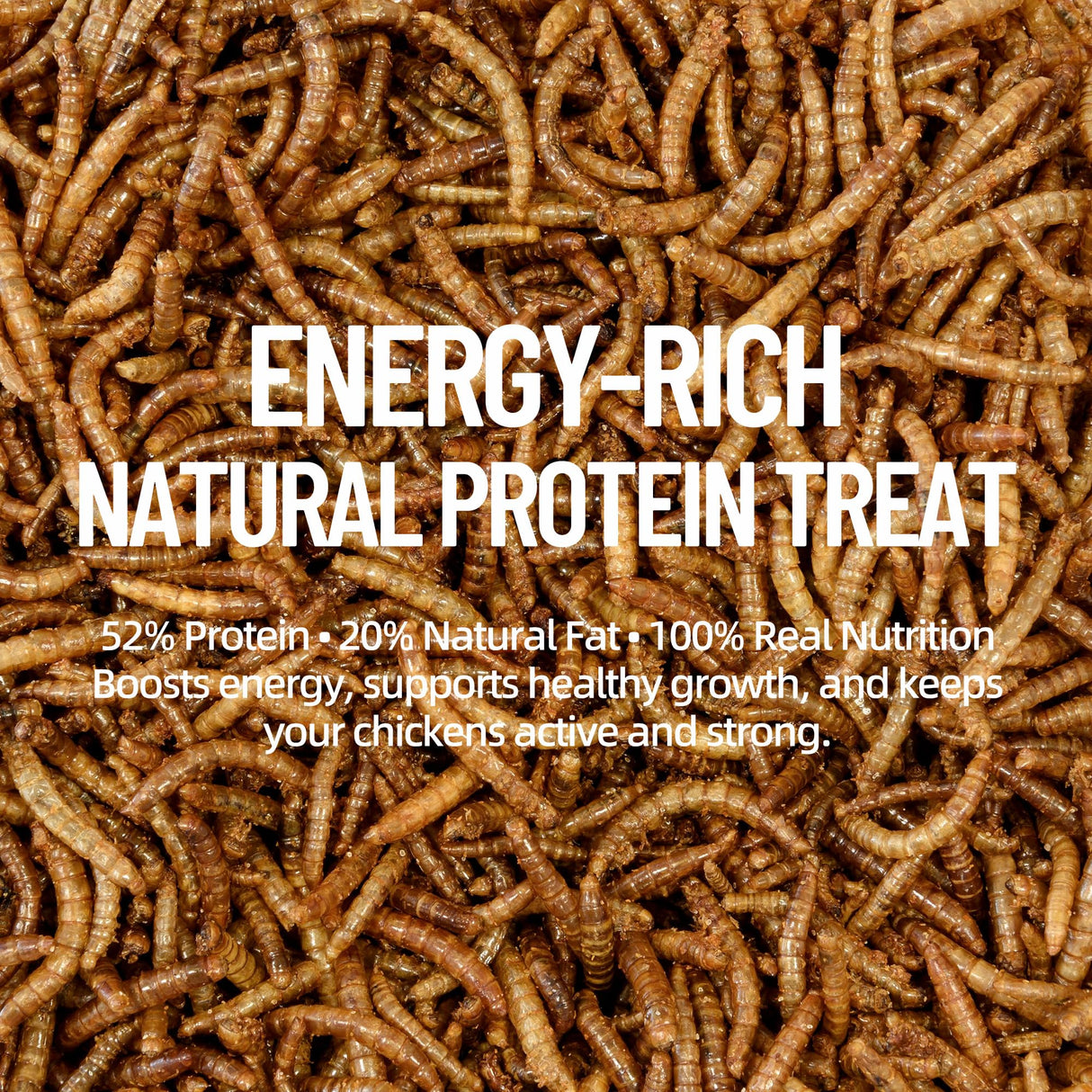 Joyprotyn 5LB Non-GMO Dried Mealworms - High Protein Natural Feed & Chicken Treats for Chickens, Ducks, Wild Birds, Quails & Reptiles - Support Egg Production & Feather Growth