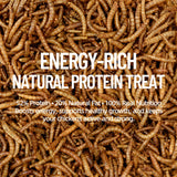 Joyprotyn 5LB Non-GMO Dried Mealworms - High Protein Natural Feed & Chicken Treats for Chickens, Ducks, Wild Birds, Quails & Reptiles - Support Egg Production & Feather Growth