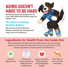 Load image into Gallery viewer, Bernie's Marvelous Mobility - Daily Total Joint Support for Dogs - 90 Soft Chews - Maintain &amp; Rebuild Mobility, Supports Joint Tissue Health
