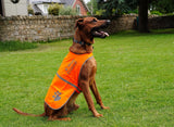 4LegsFriend Reflective Dog Vest. Hi-Visibility, Blaze Orange Oxford 300D Waterproof Dog Vest Helps Protect Your Best Friend. Safeguard Your PUP from Motorists & Hunting Accidents, On or Off Leash