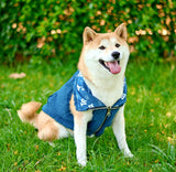 Tuff Pupper Reversible Fleece Sweater Vest for Dogs | Lightweight Comfortable Insulated Jacket | Front Zip Closure | Machine Washable | Built-in Leash Hole | Sizes for All Breeds (XL, Teal)