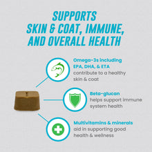 Load image into Gallery viewer, Nutramax Welactin Omega 3 Fish Oil for Dogs, Skin and Coat Health Supplement, Plus Immune and Overall Health, Premium Omega 3 Fatty Acids, Multivitamin For Dogs, Soft Chews, 60 Count
